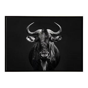 Wildebeest �k�[ �k�[�A���e���[�v ���C���h�r�[�X�g �T�o���i �A�t���J ���� ���R �l�C�`���[ ���� �A�j�}�� �쐶���� �ʐ^ ���|�X�^�[ �C���e���A ������� �v�����g�|�X�^�[ �t�H�g �V���v��