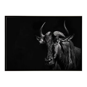 Wildebeest �k�[ �k�[�A���e���[�v ���C���h�r�[�X�g �T�o���i �A�t���J ���� ���R �l�C�`���[ ���� �A�j�}�� �쐶���� �ʐ^ ���|�X�^�[ �C���e���A ������� �v�����g�|�X�^�[ �t�H�g �V���v��
