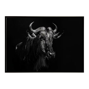 Wildebeest �k�[ �k�[�A���e���[�v ���C���h�r�[�X�g �T�o���i �A�t���J ���� ���R �l�C�`���[ ���� �A�j�}�� �쐶���� �ʐ^ ���|�X�^�[ �C���e���A ������� �v�����g�|�X�^�[ �t�H�g �V���v��