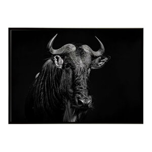 Wildebeest �k�[ �k�[�A���e���[�v ���C���h�r�[�X�g �T�o���i �A�t���J ���� ���R �l�C�`���[ ���� �A�j�}�� �쐶���� �ʐ^ ���|�X�^�[ �C���e���A ������� �v�����g�|�X�^�[ �t�H�g �V���v��