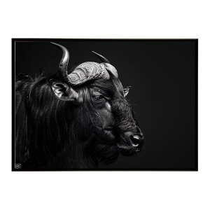 Wildebeest �k�[ �k�[�A���e���[�v ���C���h�r�[�X�g �T�o���i �A�t���J ���� ���R �l�C�`���[ ���� �A�j�}�� �쐶���� �ʐ^ ���|�X�^�[ �C���e���A ������� �v�����g�|�X�^�[ �t�H�g �V���v��