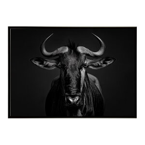 Wildebeest �k�[ �k�[�A���e���[�v ���C���h�r�[�X�g �T�o���i �A�t���J ���� ���R �l�C�`���[ ���� �A�j�}�� �쐶���� �ʐ^ ���|�X�^�[ �C���e���A ������� �v�����g�|�X�^�[ �t�H�g �V���v��