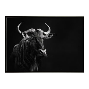 Wildebeest �k�[ �k�[�A���e���[�v ���C���h�r�[�X�g �T�o���i �A�t���J ���� ���R �l�C�`���[ ���� �A�j�}�� �쐶���� �ʐ^ ���|�X�^�[ �C���e���A ������� �v�����g�|�X�^�[ �t�H�g �V���v��