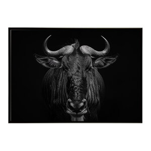 Wildebeest �k�[ �k�[�A���e���[�v ���C���h�r�[�X�g �T�o���i �A�t���J ���� ���R �l�C�`���[ ���� �A�j�}�� �쐶���� �ʐ^ ���|�X�^�[ �C���e���A ������� �v�����g�|�X�^�[ �t�H�g �V���v��