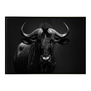 Wildebeest �k�[ �k�[�A���e���[�v ���C���h�r�[�X�g �T�o���i �A�t���J ���� ���R �l�C�`���[ ���� �A�j�}�� �쐶���� �ʐ^ ���|�X�^�[ �C���e���A ������� �v�����g�|�X�^�[ �t�H�g �V���v��