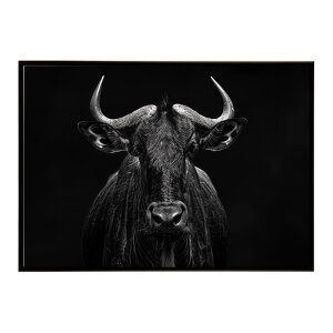 Wildebeest �k�[ �k�[�A���e���[�v ���C���h�r�[�X�g �T�o���i �A�t���J ���� ���R �l�C�`���[ ���� �A�j�}�� �쐶���� �ʐ^ ���|�X�^�[ �C���e���A ������� �v�����g�|�X�^�[ �t�H�g �V���v��