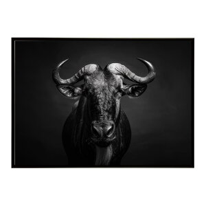 Wildebeest �k�[ �k�[�A���e���[�v ���C���h�r�[�X�g �T�o���i �A�t���J ���� ���R �l�C�`���[ ���� �A�j�}�� �쐶���� �ʐ^ ���|�X�^�[ �C���e���A ������� �v�����g�|�X�^�[ �t�H�g �V���v��