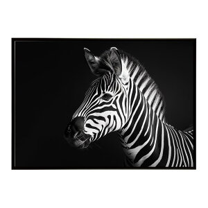 Zebra V}E} [u Toi AtJ  R lC`[  Aj} 쐶 ʐ^ n|X^[ CeA  vg|X^[ tHg Vv   傫/lh-poster-7