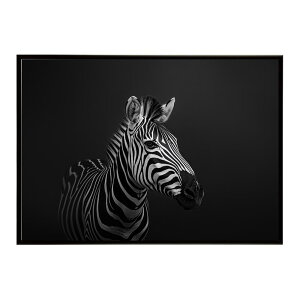 Zebra V}E} [u Toi AtJ  R lC`[  Aj} 쐶 ʐ^ n|X^[ CeA  vg|X^[ tHg Vv   傫/lh-poster-7