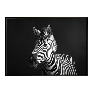 Zebra V}E} [u Toi AtJ  R lC`[  Aj} 쐶 ʐ^ n|X^[ CeA  vg|X^[ tHg Vv   傫/lh-poster-7