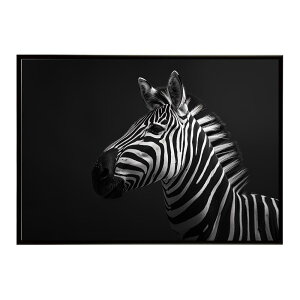 Zebra V}E} [u Toi AtJ  R lC`[  Aj} 쐶 ʐ^ n|X^[ CeA  vg|X^[ tHg Vv   傫/lh-poster-7