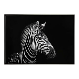 Zebra V}E} [u Toi AtJ  R lC`[  Aj} 쐶 ʐ^ n|X^[ CeA  vg|X^[ tHg Vv   傫/lh-poster-7