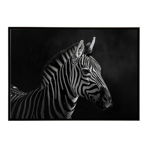 Zebra V}E} [u Toi AtJ  R lC`[  Aj} 쐶 ʐ^ n|X^[ CeA  vg|X^[ tHg Vv   傫/lh-poster-7