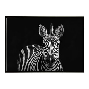 Zebra V}E} [u Toi AtJ  R lC`[  Aj} 쐶 ʐ^ n|X^[ CeA  vg|X^[ tHg Vv   傫/lh-poster-7