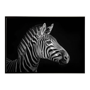 Zebra V}E} [u Toi AtJ  R lC`[  Aj} 쐶 ʐ^ n|X^[ CeA  vg|X^[ tHg Vv   傫/lh-poster-7