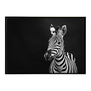 Zebra V}E} [u Toi AtJ  R lC`[  Aj} 쐶 ʐ^ n|X^[ CeA  vg|X^[ tHg Vv   傫/lh-poster-7