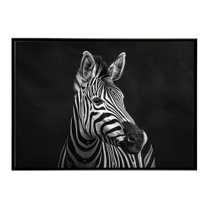 Zebra V}E} [u Toi AtJ  R lC`[  Aj} 쐶 ʐ^ n|X^[ CeA  vg|X^[ tHg Vv   傫/lh-poster-7