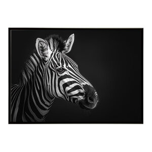 Zebra V}E} [u Toi AtJ  R lC`[  Aj} 쐶 ʐ^ n|X^[ CeA  vg|X^[ tHg Vv   傫/lh-poster-7