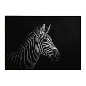 Zebra V}E} [u Toi AtJ  R lC`[  Aj} 쐶 ʐ^ n|X^[ CeA  vg|X^[ tHg Vv   傫/lh-poster-7