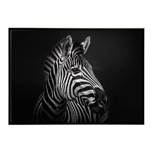 Zebra V}E} [u Toi AtJ  R lC`[  Aj} 쐶 ʐ^ n|X^[ CeA  vg|X^[ tHg Vv   傫/lh-poster-7