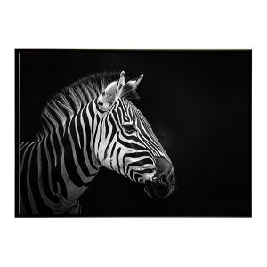 Zebra V}E} [u Toi AtJ  R lC`[  Aj} 쐶 ʐ^ n|X^[ CeA  vg|X^[ tHg Vv   傫/lh-poster-7
