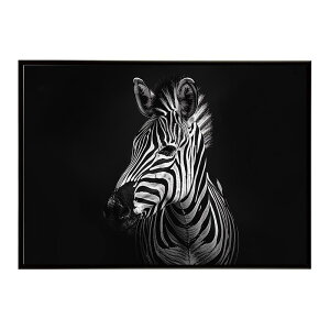 Zebra V}E} [u Toi AtJ  R lC`[  Aj} 쐶 ʐ^ n|X^[ CeA  vg|X^[ tHg Vv   傫/lh-poster-7