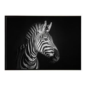 Zebra V}E} [u Toi AtJ  R lC`[  Aj} 쐶 ʐ^ n|X^[ CeA  vg|X^[ tHg Vv   傫/lh-poster-7