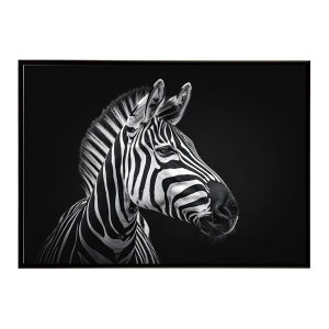 Zebra V}E} [u Toi AtJ  R lC`[  Aj} 쐶 ʐ^ n|X^[ CeA  vg|X^[ tHg Vv   傫/lh-poster-7