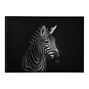 Zebra V}E} [u Toi AtJ  R lC`[  Aj} 쐶 ʐ^ n|X^[ CeA  vg|X^[ tHg Vv   傫/lh-poster-7