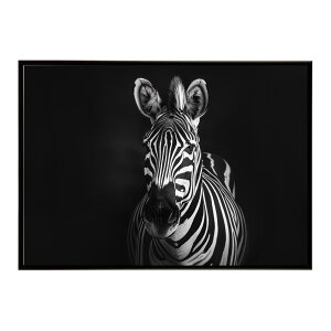Zebra V}E} [u Toi AtJ  R lC`[  Aj} 쐶 ʐ^ n|X^[ CeA  vg|X^[ tHg Vv   傫/lh-poster-7