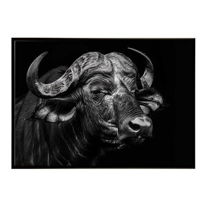 African buffalo �A�t���J�o�b�t�@���[ �T�o���i �A�t���J ���� ���R �l�C�`���[ ���� �A�j�}�� �쐶���� �ʐ^ ���|�X�^�[ �C���e���A ������� �v�����g�|�X�^�[ �t�H�g �V���v�� ������ ���� ��