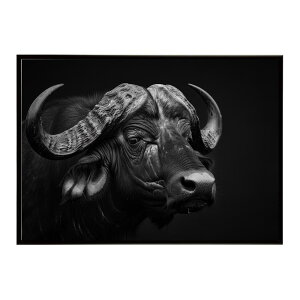African buffalo �A�t���J�o�b�t�@���[ �T�o���i �A�t���J ���� ���R �l�C�`���[ ���� �A�j�}�� �쐶���� �ʐ^ ���|�X�^�[ �C���e���A ������� �v�����g�|�X�^�[ �t�H�g �V���v�� ������ ���� ��