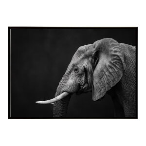 Elephant �]�E �G���t�@���g �T�o���i �A�t���J ���� ���R �l�C�`���[ ���� �A�j�}�� �쐶���� �ʐ^�|�X�^�[ �C���e���A ������� �v�����g�|�X�^�[ �t�H�g �V���v�� ������ ���� �傫��/lh-poster
