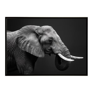 Elephant �]�E �G���t�@���g �T�o���i �A�t���J ���� ���R �l�C�`���[ ���� �A�j�}�� �쐶���� �ʐ^�|�X�^�[ �C���e���A ������� �v�����g�|�X�^�[ �t�H�g �V���v�� ������ ���� �傫��/lh-poster