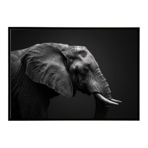 Elephant �]�E �G���t�@���g �T�o���i �A�t���J ���� ���R �l�C�`���[ ���� �A�j�}�� �쐶���� �ʐ^�|�X�^�[ �C���e���A ������� �v�����g�|�X�^�[ �t�H�g �V���v�� ������ ���� �傫��/lh-poster