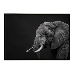 Elephant �]�E �G���t�@���g �T�o���i �A�t���J ���� ���R �l�C�`���[ ���� �A�j�}�� �쐶���� �ʐ^�|�X�^�[ �C���e���A ������� �v�����g�|�X�^�[ �t�H�g �V���v�� ������ ���� �傫��/lh-poster