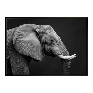 Elephant �]�E �G���t�@���g �T�o���i �A�t���J ���� ���R �l�C�`���[ ���� �A�j�}�� �쐶���� �ʐ^�|�X�^�[ �C���e���A ������� �v�����g�|�X�^�[ �t�H�g �V���v�� ������ ���� �傫��/lh-poster