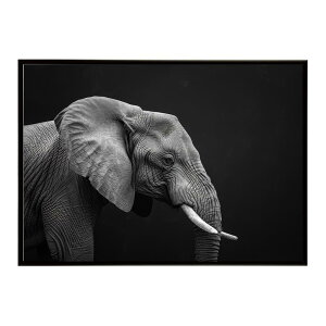 Elephant �]�E �G���t�@���g �T�o���i �A�t���J ���� ���R �l�C�`���[ ���� �A�j�}�� �쐶���� �ʐ^�|�X�^�[ �C���e���A ������� �v�����g�|�X�^�[ �t�H�g �V���v�� ������ ���� �傫��/lh-poster