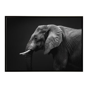 Elephant �]�E �G���t�@���g �T�o���i �A�t���J ���� ���R �l�C�`���[ ���� �A�j�}�� �쐶���� �ʐ^�|�X�^�[ �C���e���A ������� �v�����g�|�X�^�[ �t�H�g �V���v�� ������ ���� �傫��/lh-poster