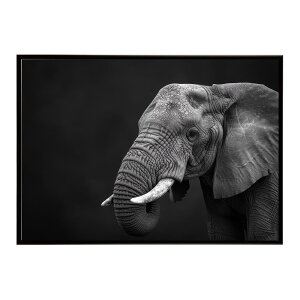 Elephant �]�E �G���t�@���g �T�o���i �A�t���J ���� ���R �l�C�`���[ ���� �A�j�}�� �쐶���� �ʐ^�|�X�^�[ �C���e���A ������� �v�����g�|�X�^�[ �t�H�g �V���v�� ������ ���� �傫��/lh-poster