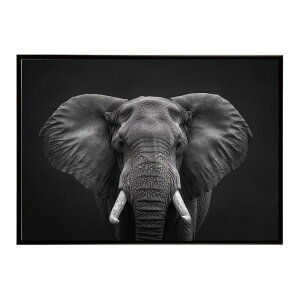 Elephant �]�E �G���t�@���g �T�o���i �A�t���J ���� ���R �l�C�`���[ ���� �A�j�}�� �쐶���� �ʐ^�|�X�^�[ �C���e���A ������� �v�����g�|�X�^�[ �t�H�g �V���v�� ������ ���� �傫��/lh-poster