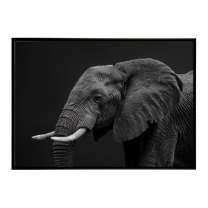Elephant �]�E �G���t�@���g �T�o���i �A�t���J ���� ���R �l�C�`���[ ���� �A�j�}�� �쐶���� �ʐ^�|�X�^�[ �C���e���A ������� �v�����g�|�X�^�[ �t�H�g �V���v�� ������ ���� �傫��/lh-poster