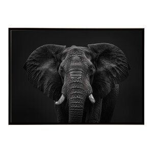Elephant �]�E �G���t�@���g �T�o���i �A�t���J ���� ���R �l�C�`���[ ���� �A�j�}�� �쐶���� �ʐ^�|�X�^�[ �C���e���A ������� �v�����g�|�X�^�[ �t�H�g �V���v�� ������ ���� �傫��/lh-poster
