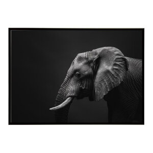 Elephant �]�E �G���t�@���g �T�o���i �A�t���J ���� ���R �l�C�`���[ ���� �A�j�}�� �쐶���� �ʐ^�|�X�^�[ �C���e���A ������� �v�����g�|�X�^�[ �t�H�g �V���v�� ������ ���� �傫��/lh-poster