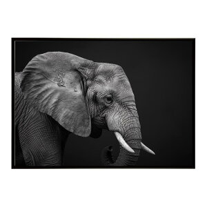 Elephant �]�E �G���t�@���g �T�o���i �A�t���J ���� ���R �l�C�`���[ ���� �A�j�}�� �쐶���� �ʐ^�|�X�^�[ �C���e���A ������� �v�����g�|�X�^�[ �t�H�g �V���v�� ������ ���� �傫��/lh-poster