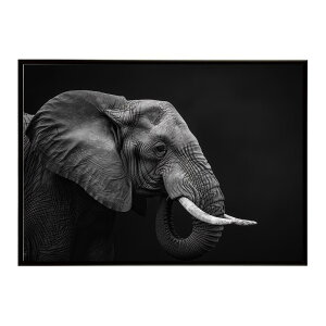 Elephant �]�E �G���t�@���g �T�o���i �A�t���J ���� ���R �l�C�`���[ ���� �A�j�}�� �쐶���� �ʐ^�|�X�^�[ �C���e���A ������� �v�����g�|�X�^�[ �t�H�g �V���v�� ������ ���� �傫��/lh-poster