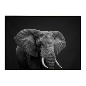 Elephant �]�E �G���t�@���g �T�o���i �A�t���J ���� ���R �l�C�`���[ ���� �A�j�}�� �쐶���� �ʐ^�|�X�^�[ �C���e���A ������� �v�����g�|�X�^�[ �t�H�g �V���v�� ������ ���� �傫��/lh-poster
