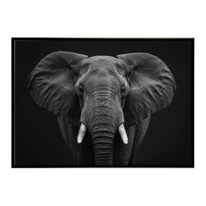 Elephant �]�E �G���t�@���g �T�o���i �A�t���J ���� ���R �l�C�`���[ ���� �A�j�}�� �쐶���� �ʐ^�|�X�^�[ �C���e���A ������� �v�����g�|�X�^�[ �t�H�g �V���v�� ������ ���� �傫��/lh-poster