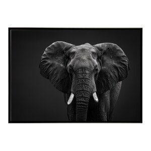Elephant �]�E �G���t�@���g �T�o���i �A�t���J ���� ���R �l�C�`���[ ���� �A�j�}�� �쐶���� �ʐ^�|�X�^�[ �C���e���A ������� �v�����g�|�X�^�[ �t�H�g �V���v�� ������ ���� �傫��/lh-poster