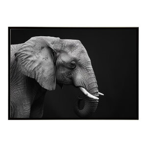 Elephant �]�E �G���t�@���g �T�o���i �A�t���J ���� ���R �l�C�`���[ ���� �A�j�}�� �쐶���� �ʐ^�|�X�^�[ �C���e���A ������� �v�����g�|�X�^�[ �t�H�g �V���v�� ������ ���� �傫��/lh-poster
